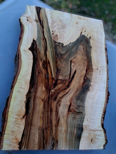Live edge maple burl - live, wood