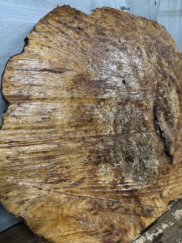 12122 satin burl rare - satin, burl,rare!