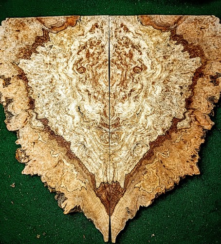 Bookmatched maple burl - maple, pair