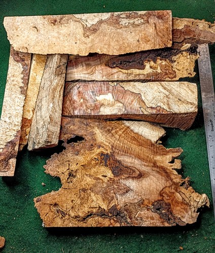 Maple burl offcuts craft - 5,