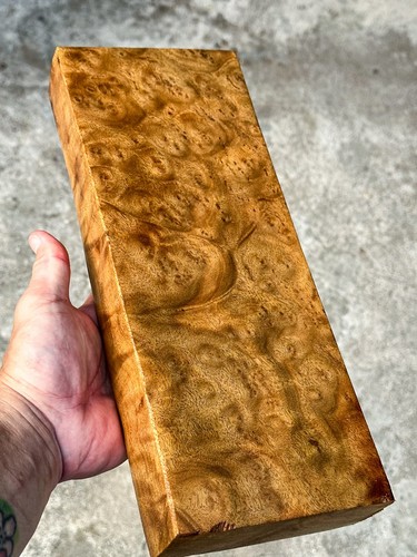 Beautiful camphor burl - camphor,