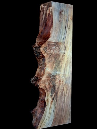 Mind blowing spalted - xl,
